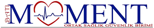 BATI MOMENT İŞ SAĞLIĞI VE GÜVENLİĞİ HİZMETLERİ İNŞAAT GAYRİMENKUL TİCARET LTD ŞTİ